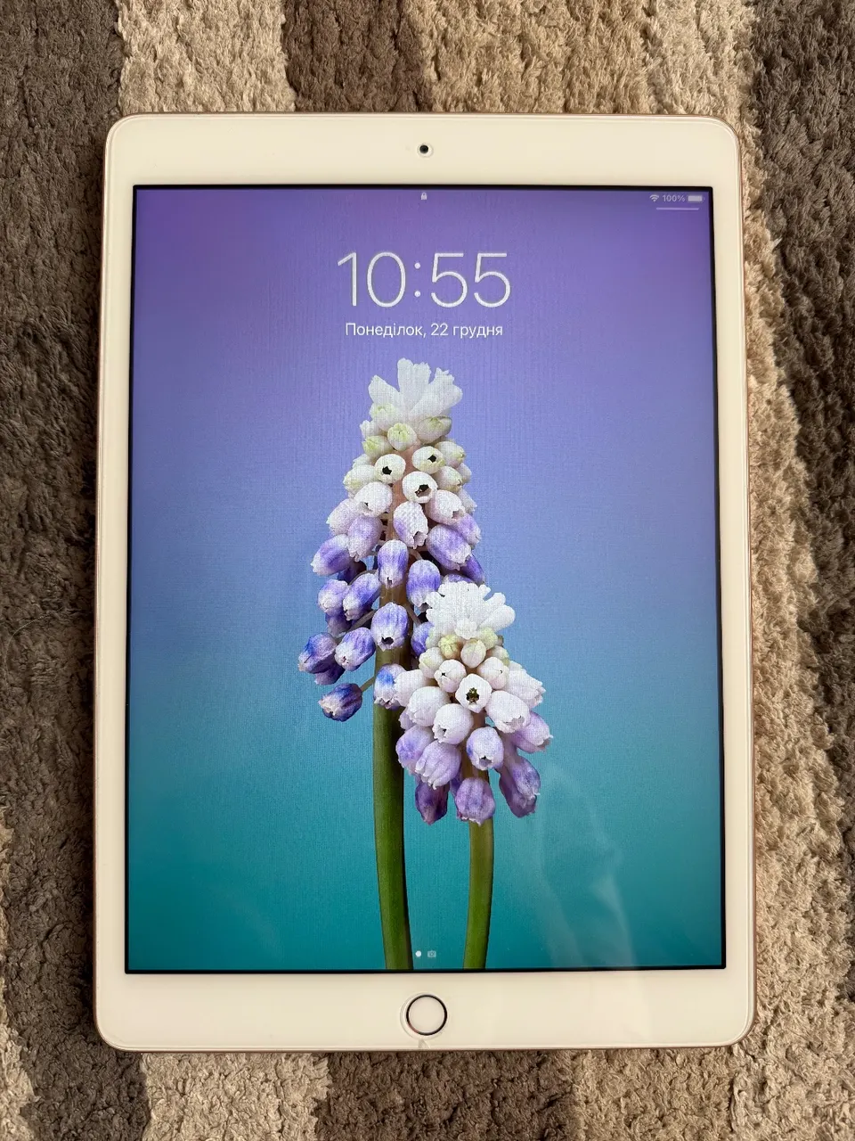 Apple iPad 7-го покоління 32 ГБ pink gold 10.2 - фото 2